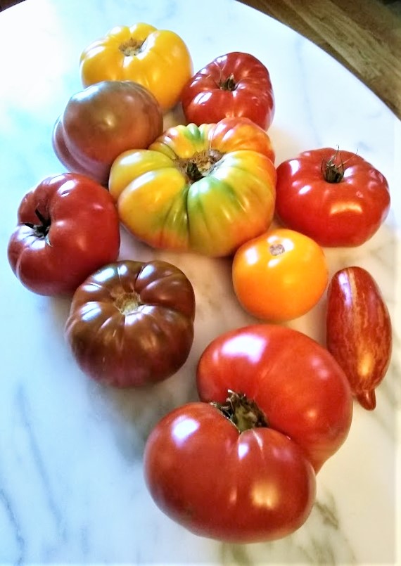 a display of heirloom tomatoes in various colors