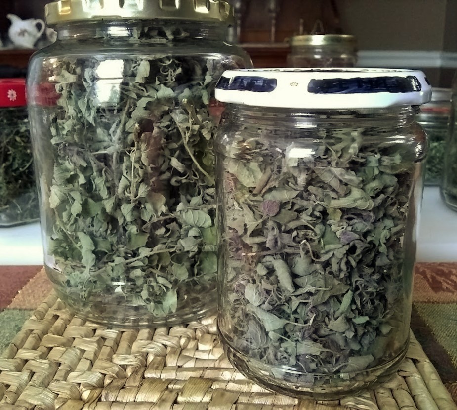 dried oregano in jars