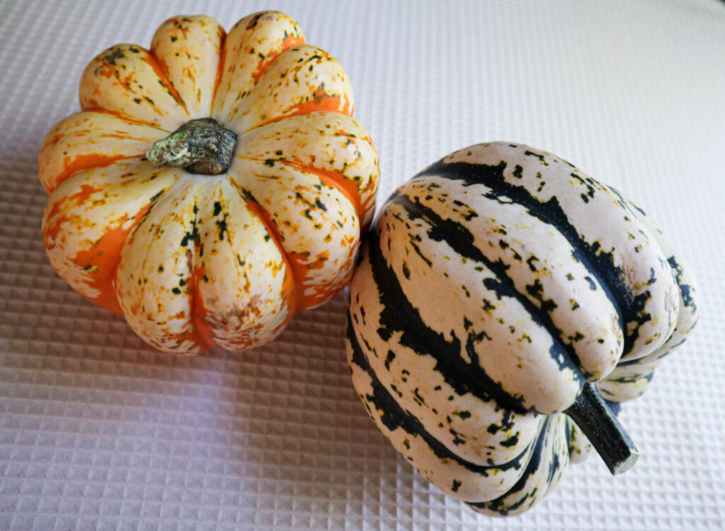 two small brightly colored autumn squash one yellow and orange one green and white