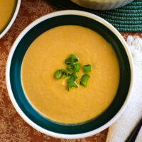 a single bowl full of butternut squash soup garnished with green onion