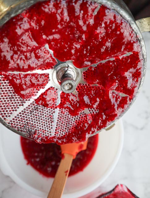 cranberry sauce pulp on bottom of food mill